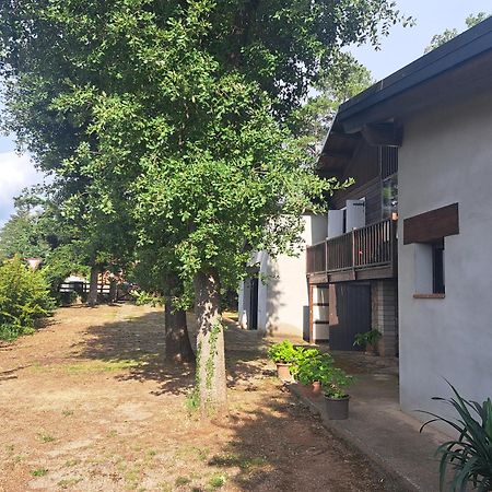 Ferienwohnung La Casa Del Pi El Pi de Sant Just Exterior foto
